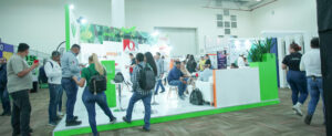 STAND IAEM