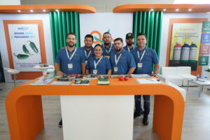 STAND IAEM
